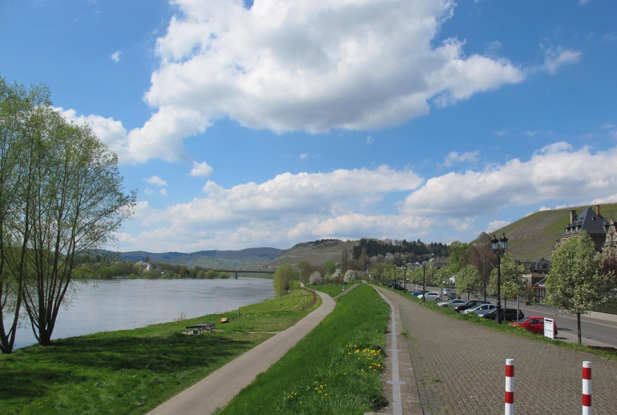 Mosel - River - Quartier 31 Hotel Lieser Exterior foto